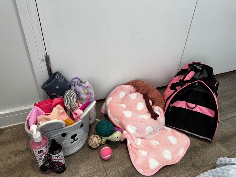 Cockapoo puppies for sale in Barking, Greater London – 11 weeks old - Image 4 of 5