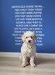 Cockapoodle - Image 3 of 3
