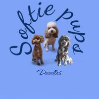 Anna Kaszteranda - Private Seller in Wellingborough, Northamptonshire  - Image 1