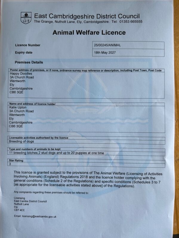 Katie upton - Licensed Cockapoo Breeder - Image 1